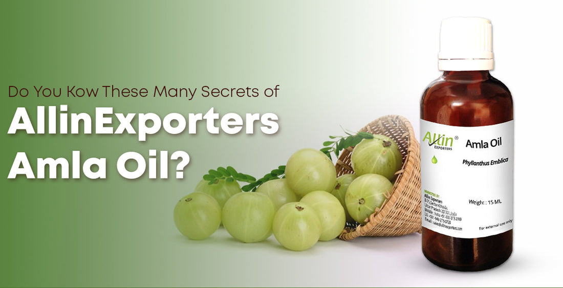Do You Kow These Many Secrets of AllinExporters Amla Oil?