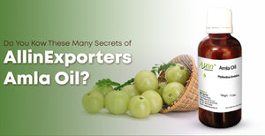 Do You Kow These Many Secrets of AllinExporters Amla Oil?