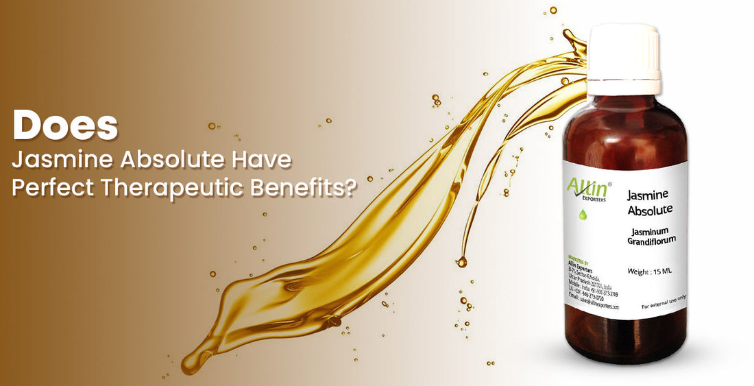 Does Jasmine Absolute Have Perfect Therapeutic Benefits?