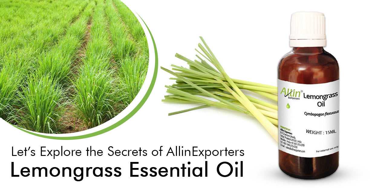 Let’s Explore the Secrets of AllinExporters Lemongrass Essential Oil