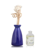 Allin Exporters Reed Diffuser with Ceramic Pot Combo Pack