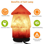 Allin Exporters Natural Himalayan Rock Salt Lamp Decoration and Air Purifying 15 W Indenscent Bulb for Lighting