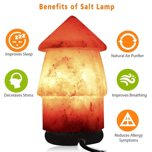 Allin Exporters Natural Himalayan Rock Salt Lamp Decoration and Air Purifying 15 W Indenscent Bulb for Lighting