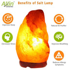 Allin Exporters Himalayan Rock Salt Lamp with Neem Wooden Base and 15W Pigmy Night Light Bulb - Natural Crystal Air Purifier Negative Ion Generator