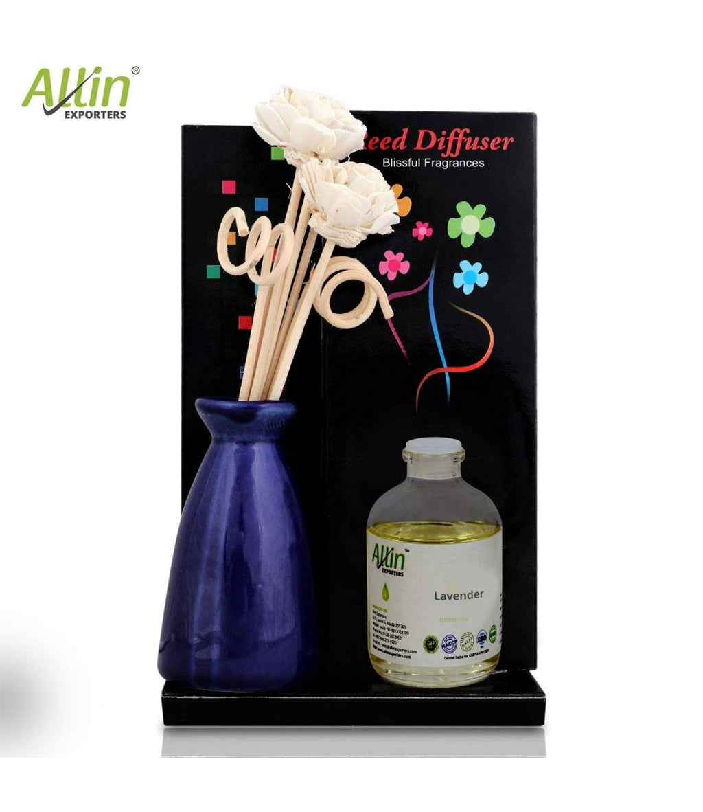 Allin Exporters Reed Diffuser with Ceramic Pot Combo Pack