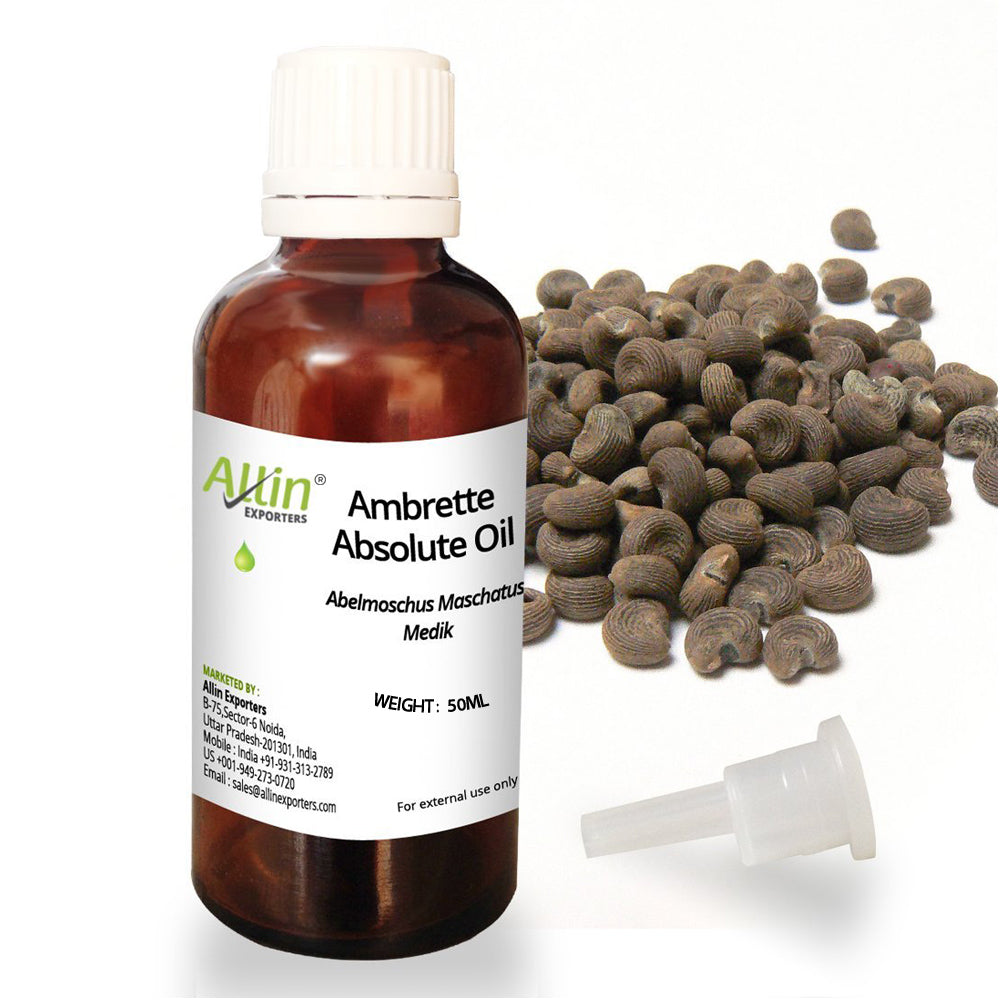 Ambrette Absolute Oil