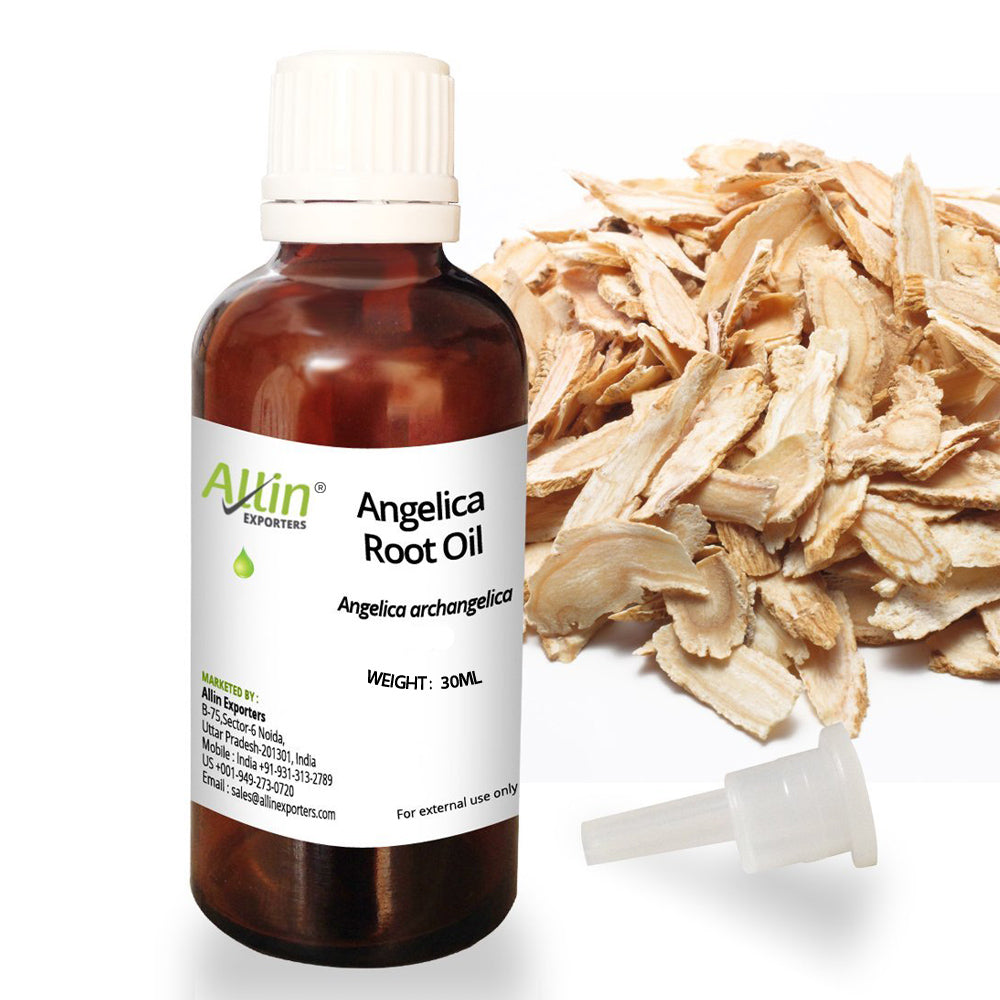 Angelica Root Oil