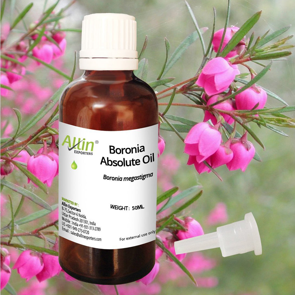 Boronia Absolute Oil
