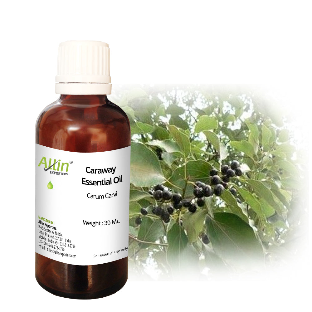 Caraway Essential Oil