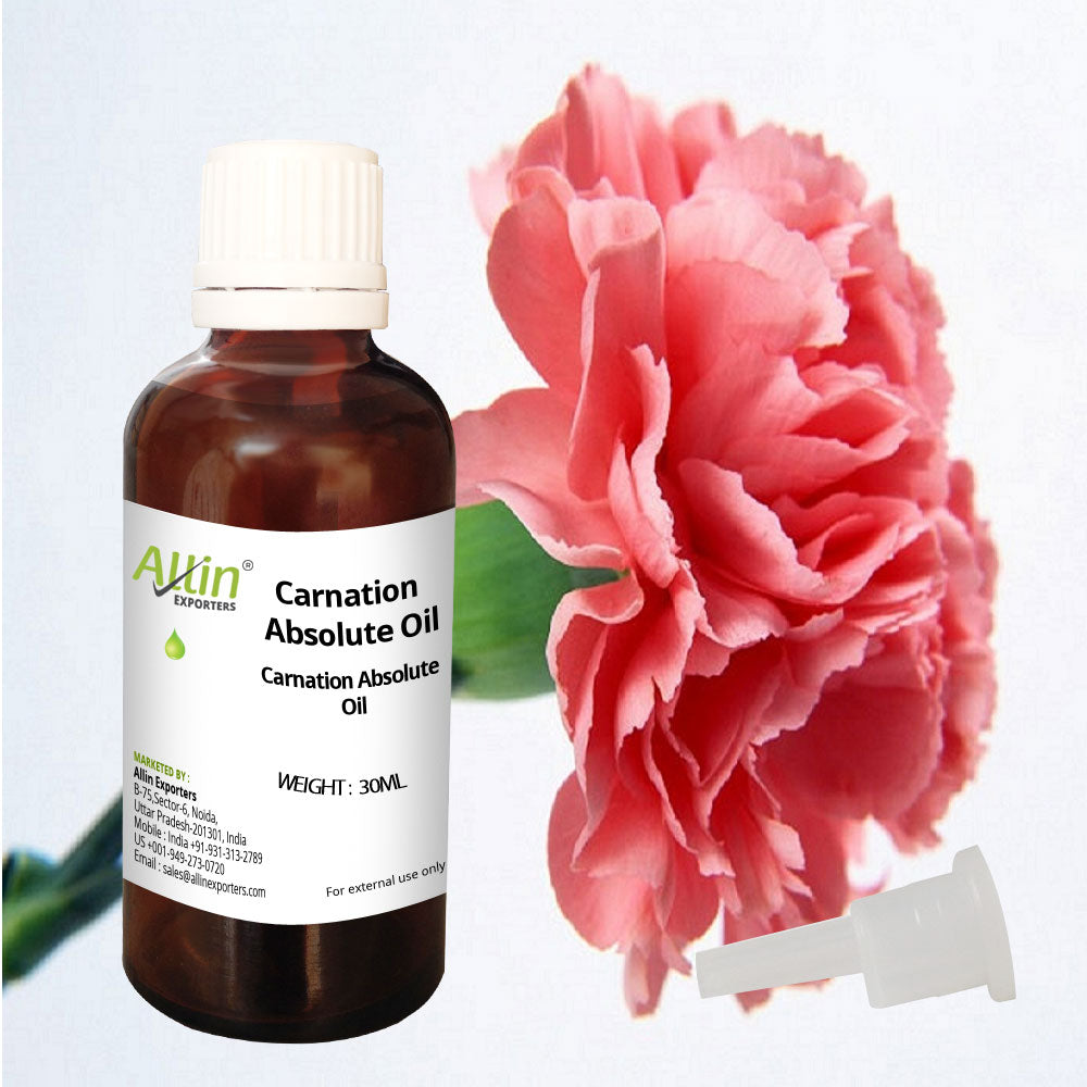 Carnation Absolute Oil