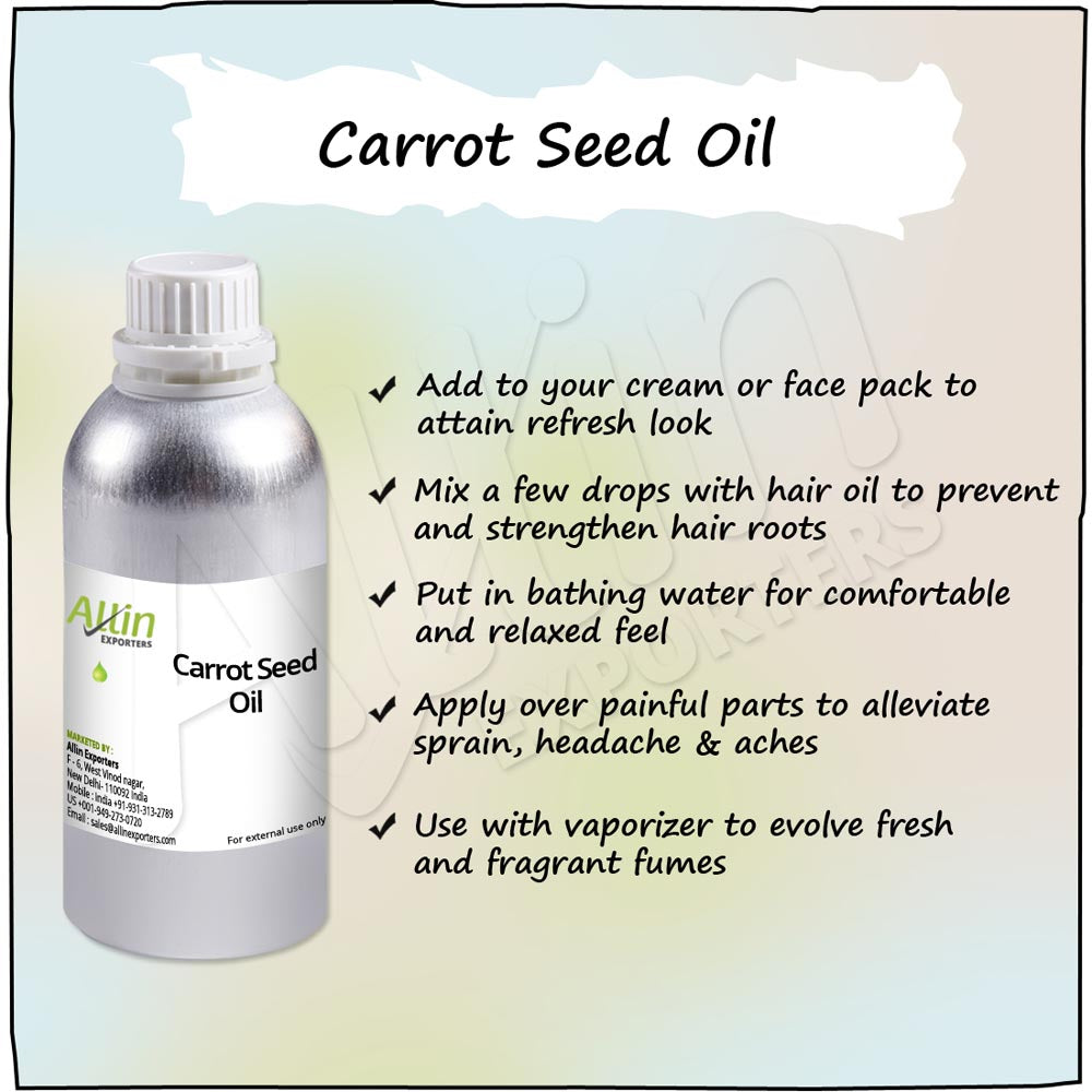 Carrot Seed Oil