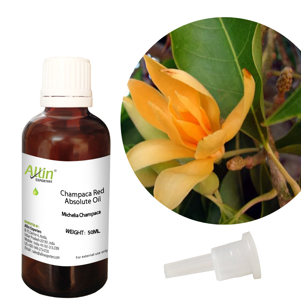 Champaca Red Absolute Oil