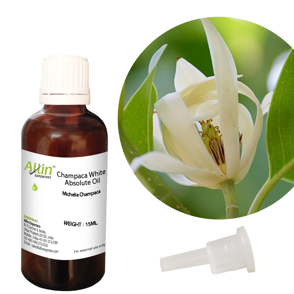 Champaca White Absolute Oil