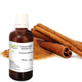 Cinnamon Bark Essential Oil