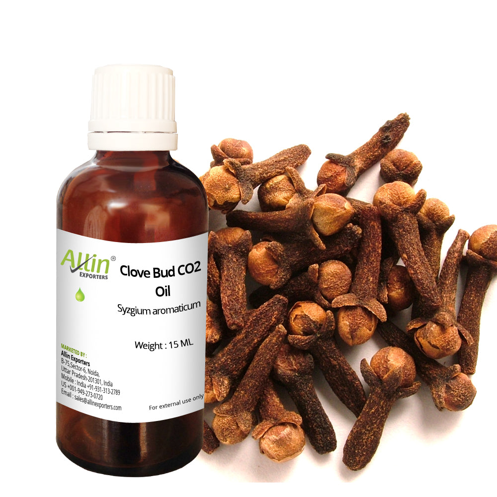 Clove Bud CO2 Oil