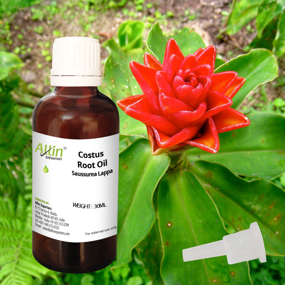 Costus Root Oil