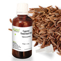 Cypriol Essential Oil