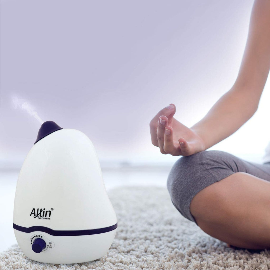 Allin Exporters PH906 Cool Mist Dolphin Humidifier Adults and Baby Bedroom 2 L Portable Room Humidifier