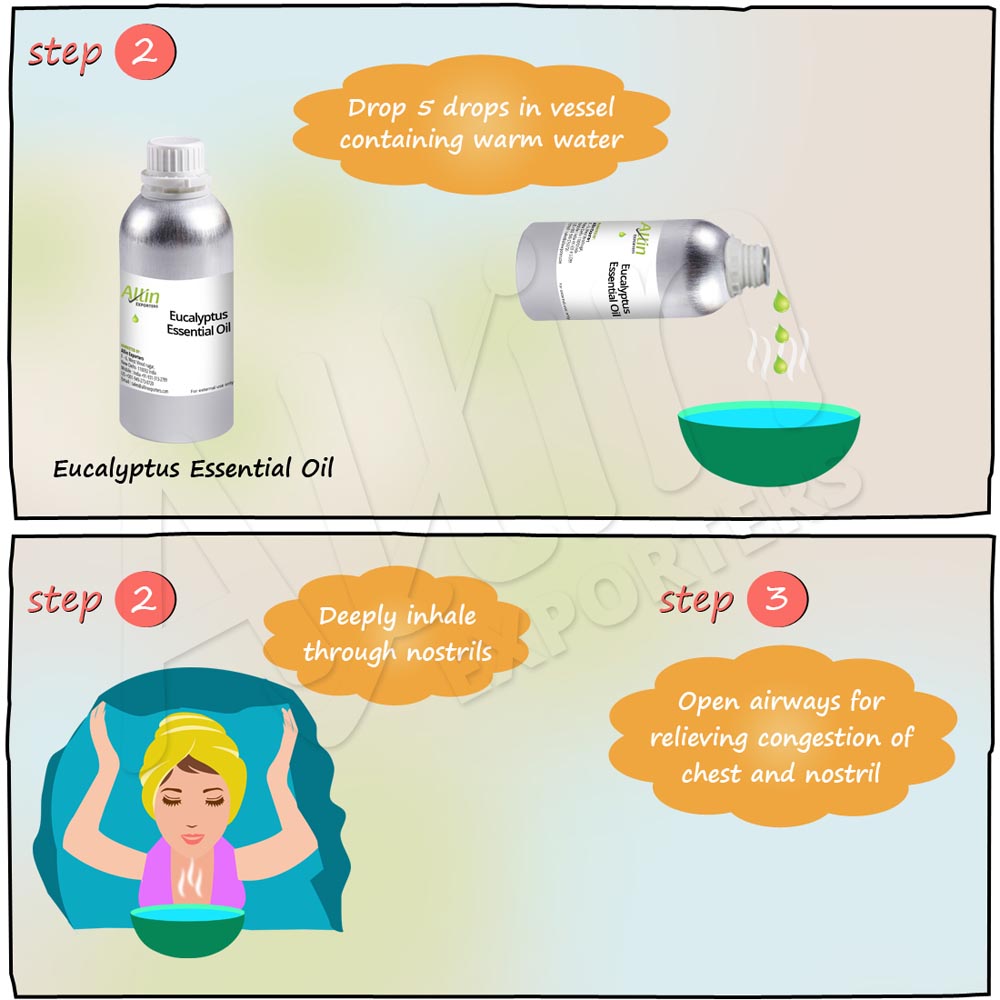 Eucalyptus Essential Oil