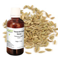 Fennel Oil (Co2) Extract