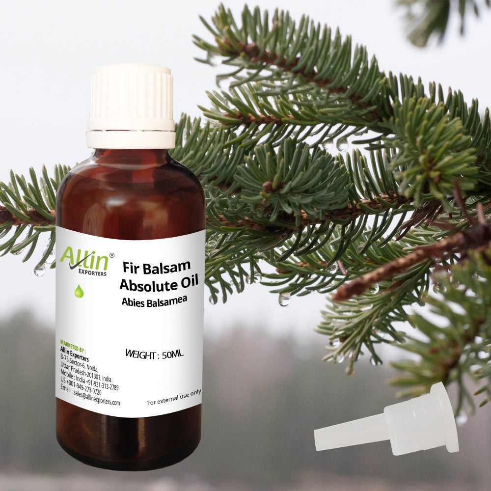 Fir Balsam Absolute Oil