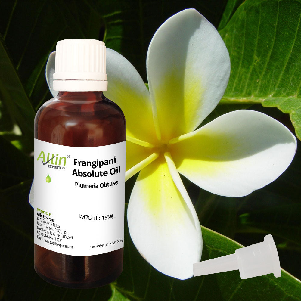 Frangipani Absolute Oil