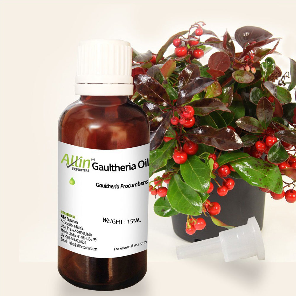 Gaultheria Oil