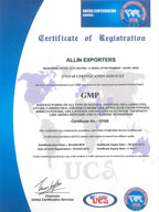 Vase Shaped Cool Mist Ultrasonic Humidifier and Purifier - 2.4 Liter