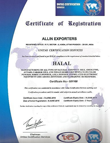 Allin Exporters Combo Pack of Imported Moroccan Argan Oil and Tea Tree Essential Oil - 15ml Each - 100% Pure and Natural Essential Oil and Carrier Oil Combo for Aromatherapy, Face, Skin, Hair and Nails