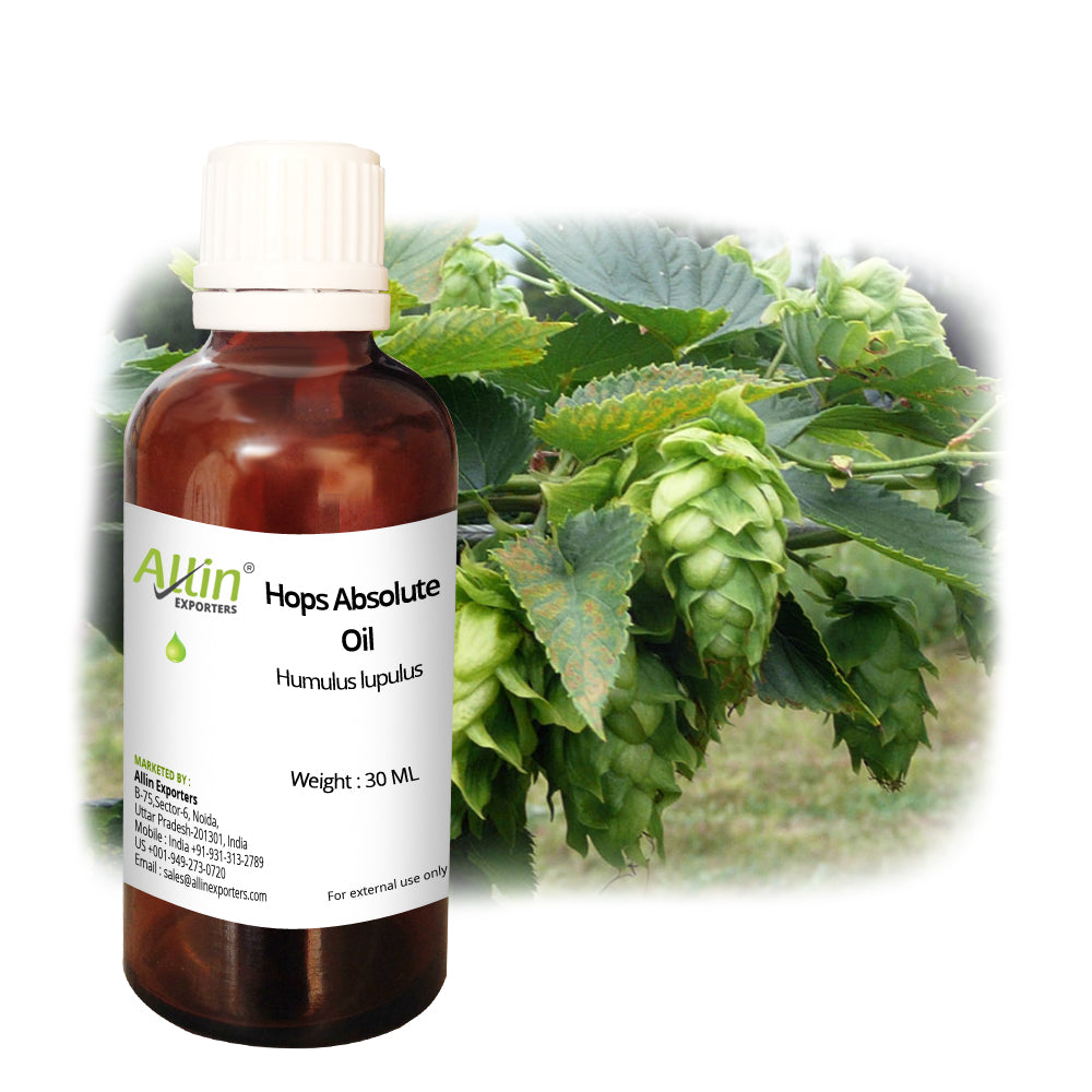 Hops Absolute Oil