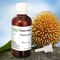 Kadam Attar