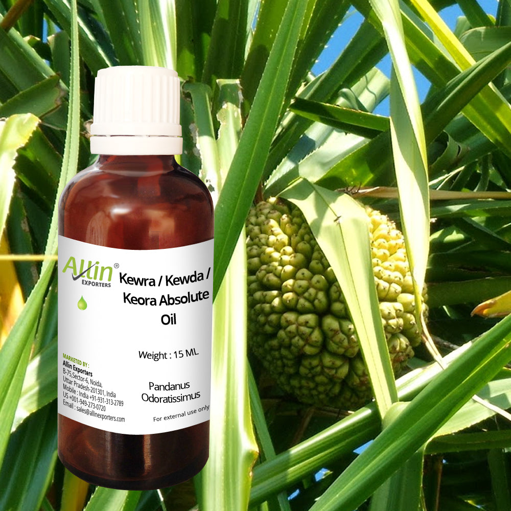 Kewra / Kewda / Keora Absolute Oil