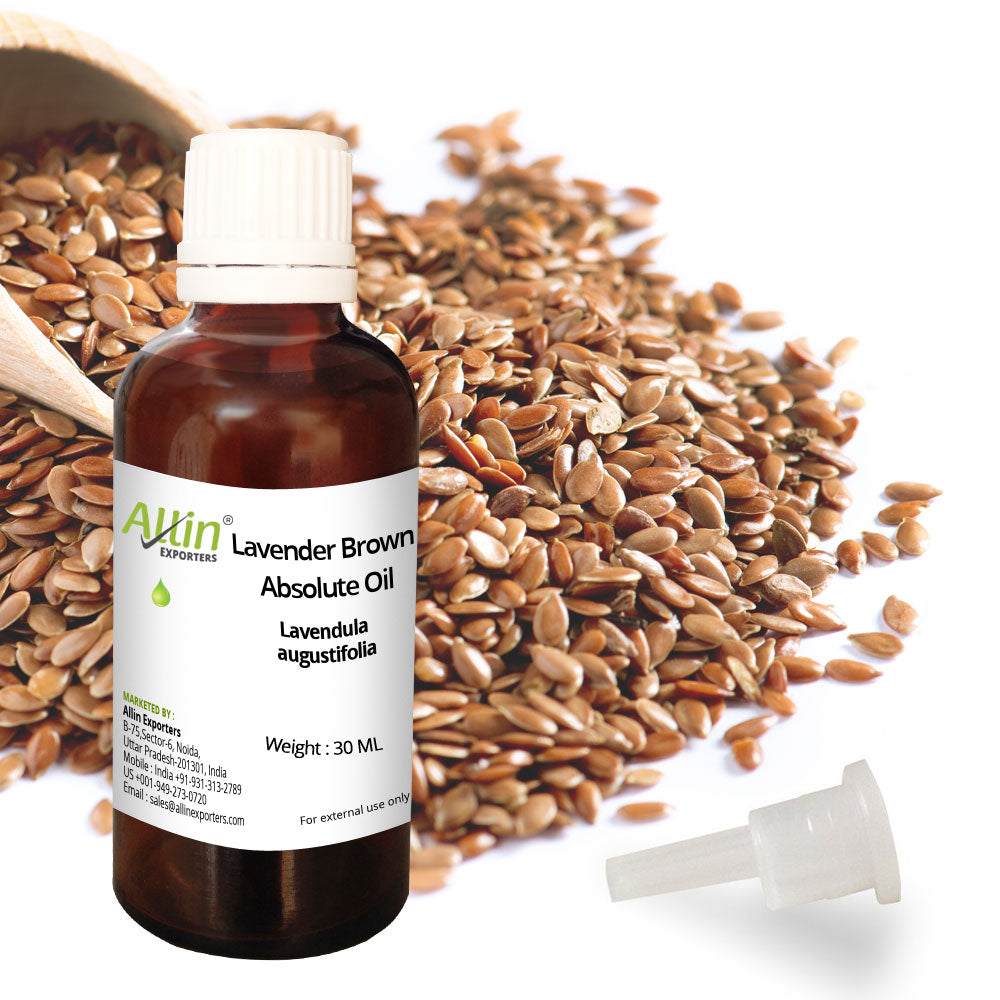 Lavender Brown Absolute Oil