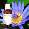 Lotus Blue Absolute Oil
