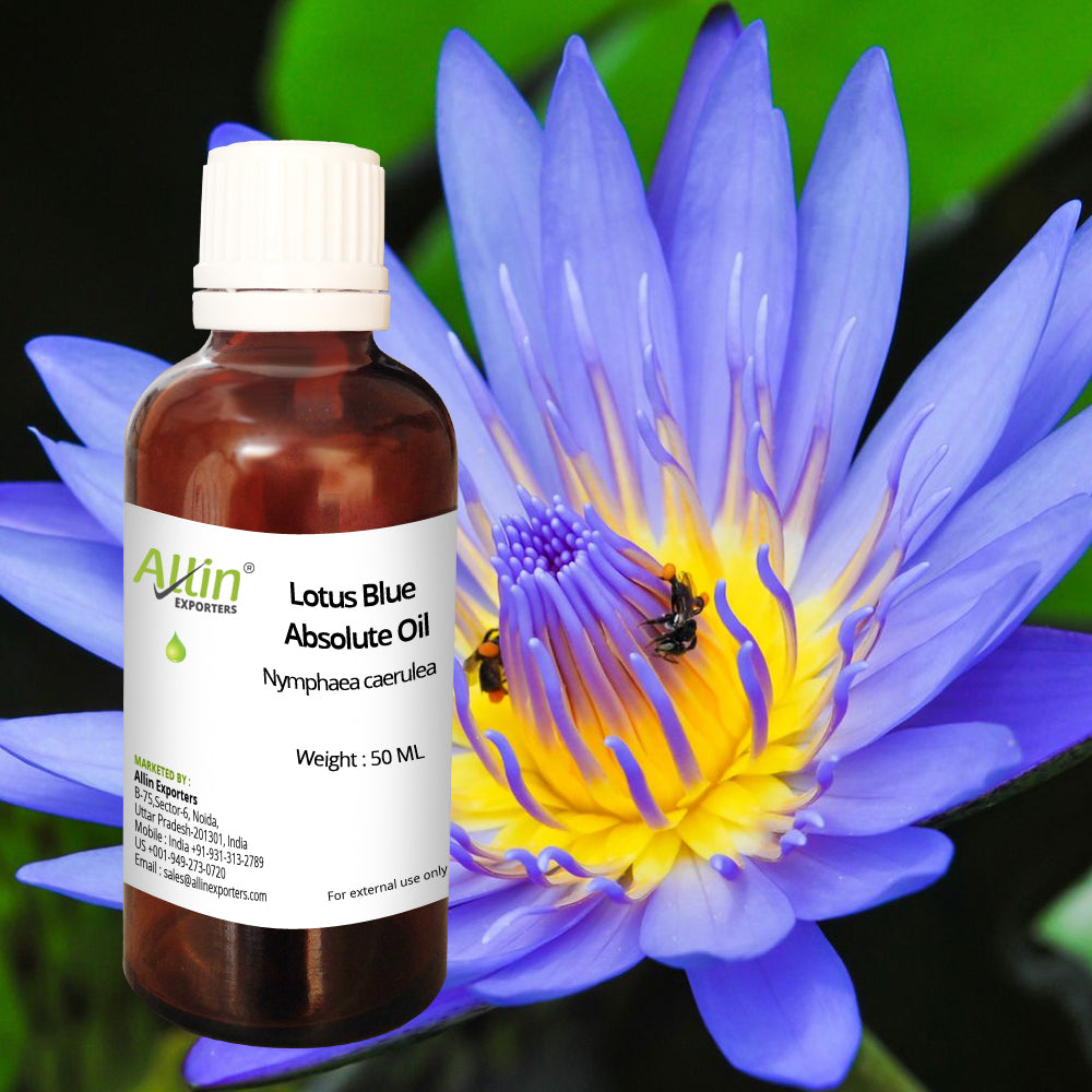 Lotus Blue Absolute Oil