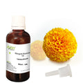 Marigold Absolute Oil
