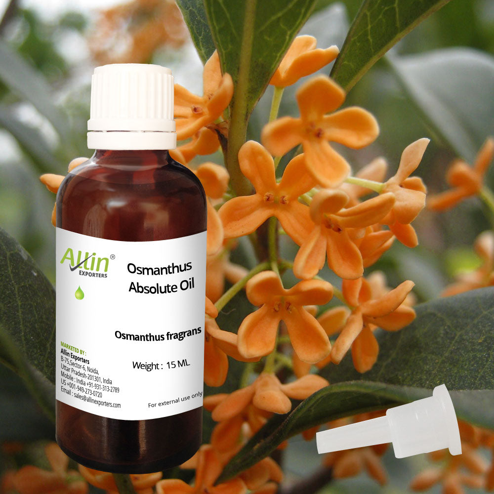 Osmanthus Absolute Oil