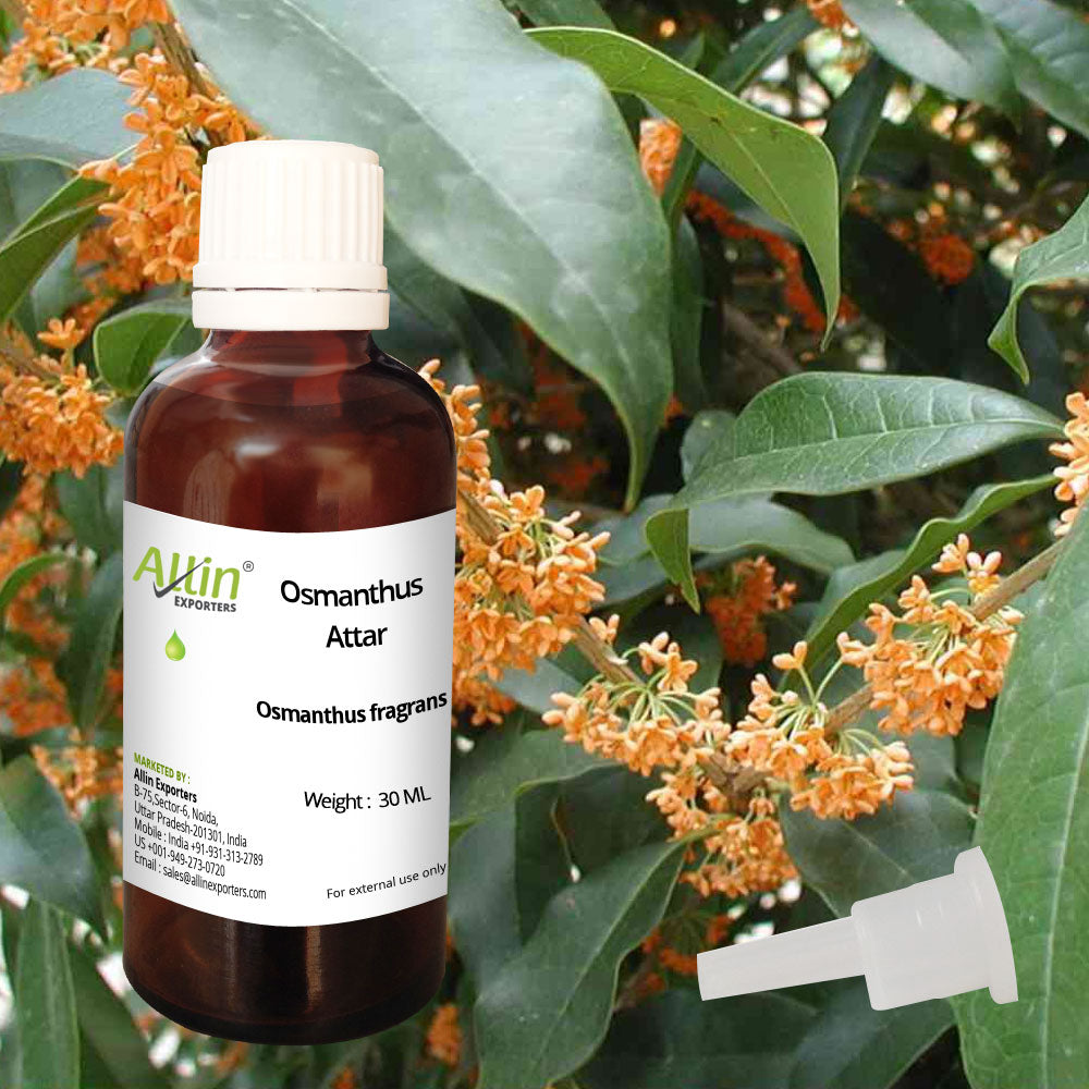Osmanthus Attar