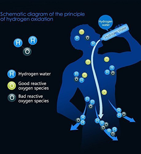 Portable Hydrogen Rich Water Ionizer Maker Transparent Water Bottle Sipper - 500 ML