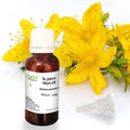 St. Johns Wort Essential Oil