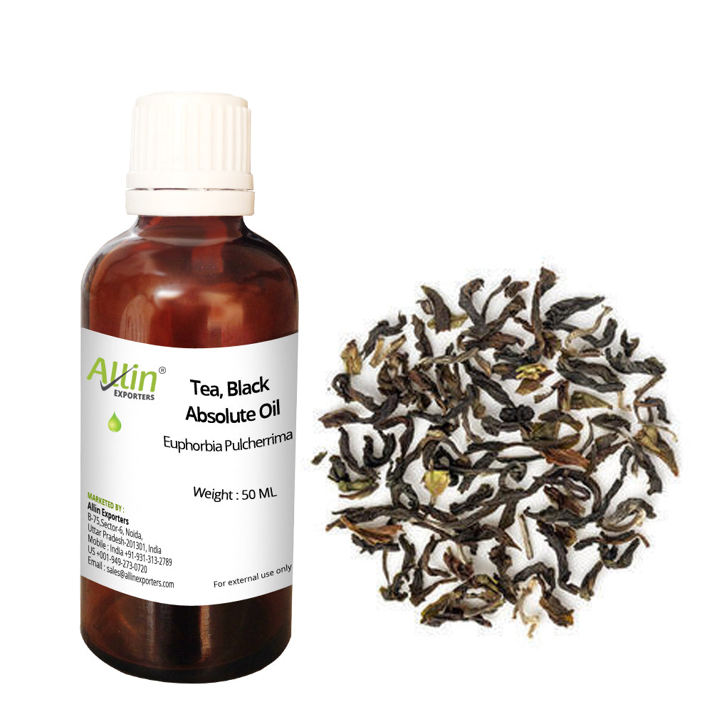 Tea, Black Absolute Oil