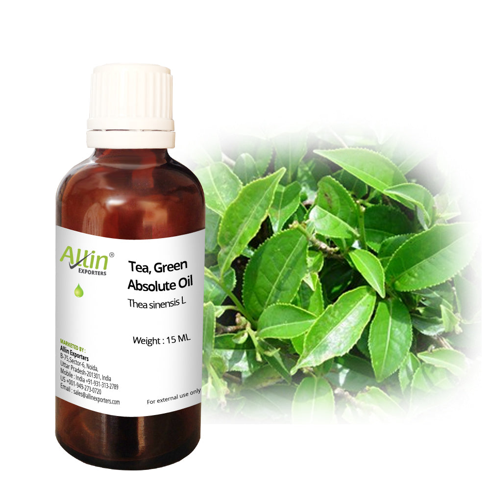 Tea, Green Absolute Oil