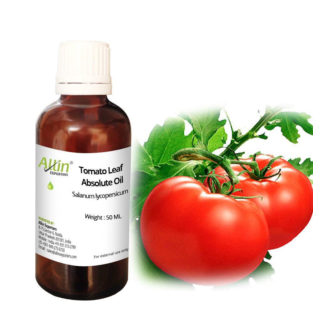 Tomato Leaf Absolute Oil