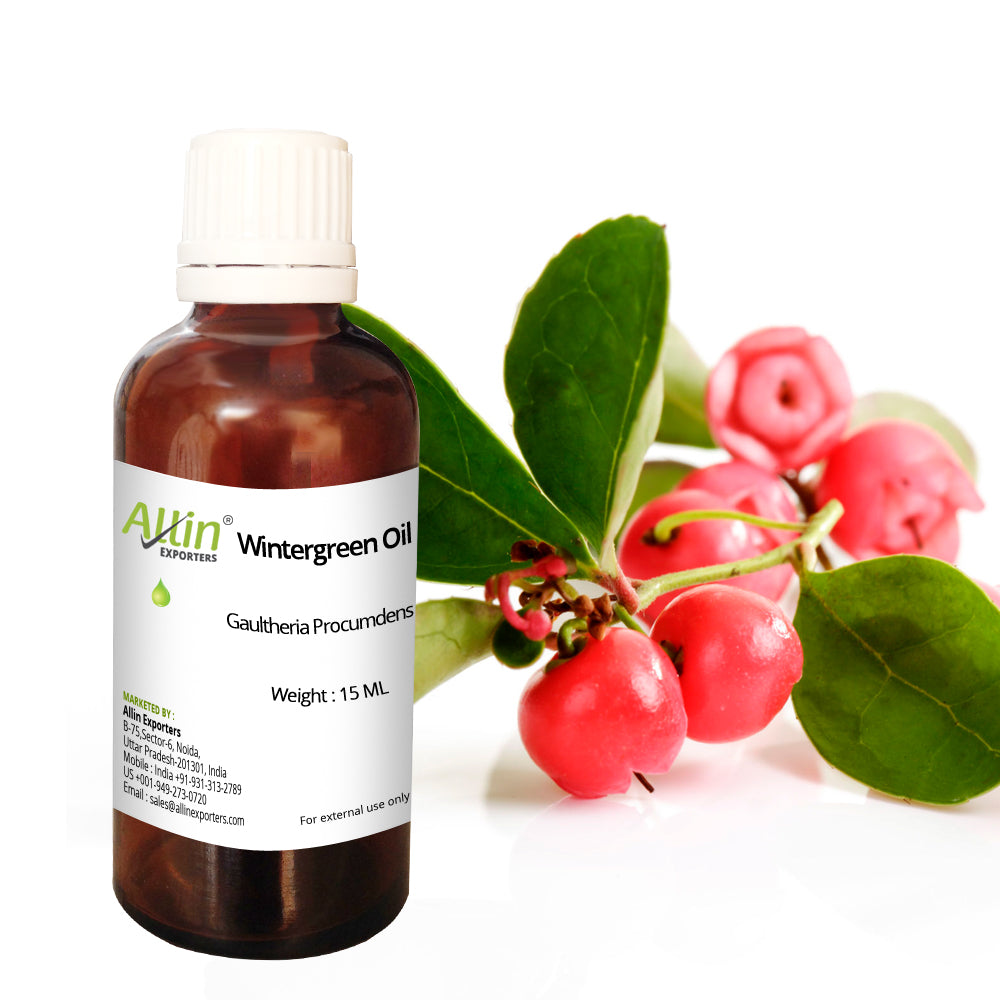 Benefits, uses & Information of wintergreen oil – allinexporters