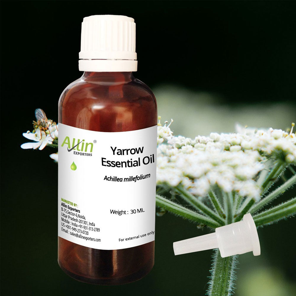 Yara Yara Oil or Yarrow Essential Oil