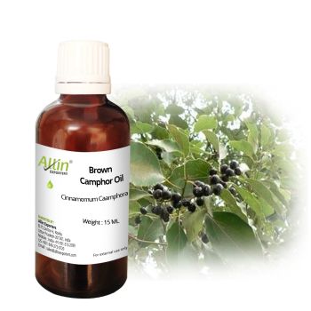 Brown Camphor Oil