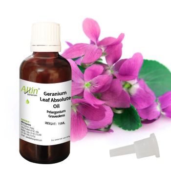 Geranium Leaf Absolute Oil