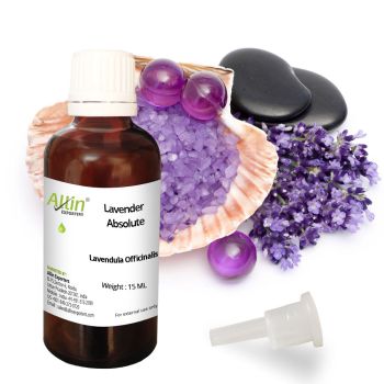 Lavender Absolute