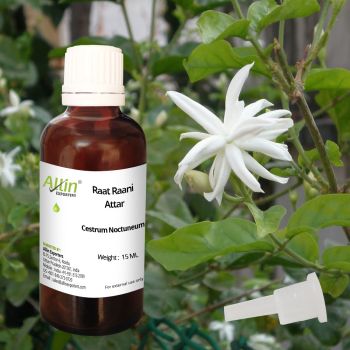 Raat Raani Attar