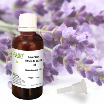 Lavender Absolute Extra Oil